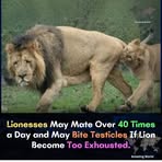 Mark Leach - Facebook