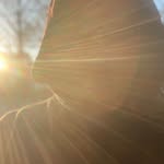 Mark Leach - @markwleach - Instagram