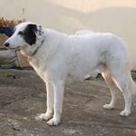 Mark Leach - @leach2769 - Instagram