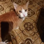 ma domi - @markleaptest - Instagram
