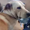 Mark Leaper - @mark.leaper3 - TikTok