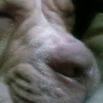 mark leaphart - @markleaphart - Instagram