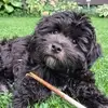 Mark Leaper - @mark.leaper - TikTok