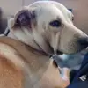 Mark Leaper - @mark.leaper3 - TikTok