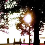 Mark Lear - @marklear3 - Instagram