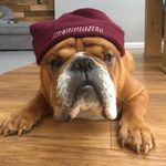 Mark Leather - @markleather78 - Instagram