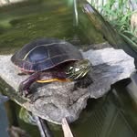 Mark LeBoeuf - @mark.leboeuf.50 - Instagram