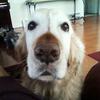 mark lederman - @mark.lederman - TikTok