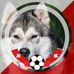 Mark Ledermann - Facebook