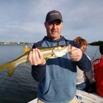 Mark Leeper - @leeper_mark - Instagram