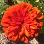 Mark Leeper Westphal - @markleeperwestphal - Instagram
