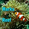 Mark Leishman737 - @mark_leishman - TikTok