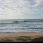 Mark Leishman - @kingtwinfin - Instagram