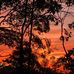 Mark Leopold - Facebook