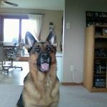Mark Leopold - @mark.leopold.50 - Instagram