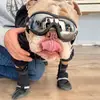 Lukeyboy21 - @https.mark_lepage3 - TikTok