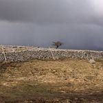 Mark Le Page - @mark.lepage.73 - Instagram