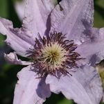 Mark LeVan - @mark.levan.9 - Instagram