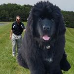 Mark Levinstein - @levinsteinmark - Instagram