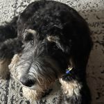 Mark Libby - @mark.libby - Instagram