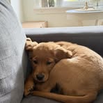 Mark Libby - Facebook
