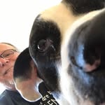 Mark Lichtenberg - @markwlichtenberg - Instagram