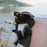 Mark Liebermann - @liebermann_mark - Instagram