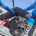 Mark Liedtka - Facebook
