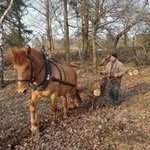 Mark Ließmann - @liessmannmark - Instagram