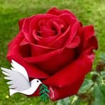 Lulu Mark - Facebook