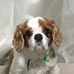 Mark Lindsey - Facebook