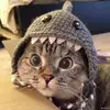 Mark Link - @mark.link8 - TikTok