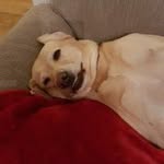 mark linton - @marklinton13 - Instagram