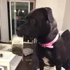Mark Linton - @mark.linton79 - TikTok