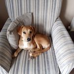 Mark Liston - @mark.liston.39982 - Instagram