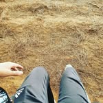 mark - @markliston1 - Instagram