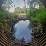 Mark Litton - @litton_mark - Instagram