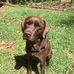 Mark Lobb - Facebook