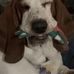 Mark Locklear - Facebook