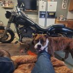 Mark Loehrer - @markloehrer - Instagram