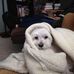 Mark Lofaro - Facebook
