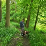 Mark Lofthouse - @markloft1288 - Instagram