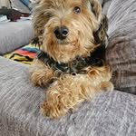 Mark Long - @marklong5085 - Instagram