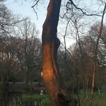 David Mark Longbottom - @davidmarklongbottom - Instagram