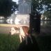 Mark Longnecker - Facebook