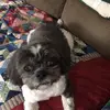 mark loos - @mark.loos6 - TikTok