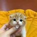 Mark Lopez - Facebook