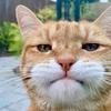 Mark Lovatt - @mark.lovatt8 - TikTok