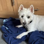 Mark Lowe - @marklowe1970 - Instagram