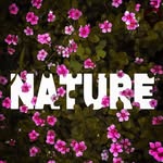 Mark A lowenstein - @mark.lowenstein - Instagram